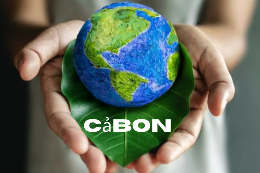 Future Innovations In cảbon Use