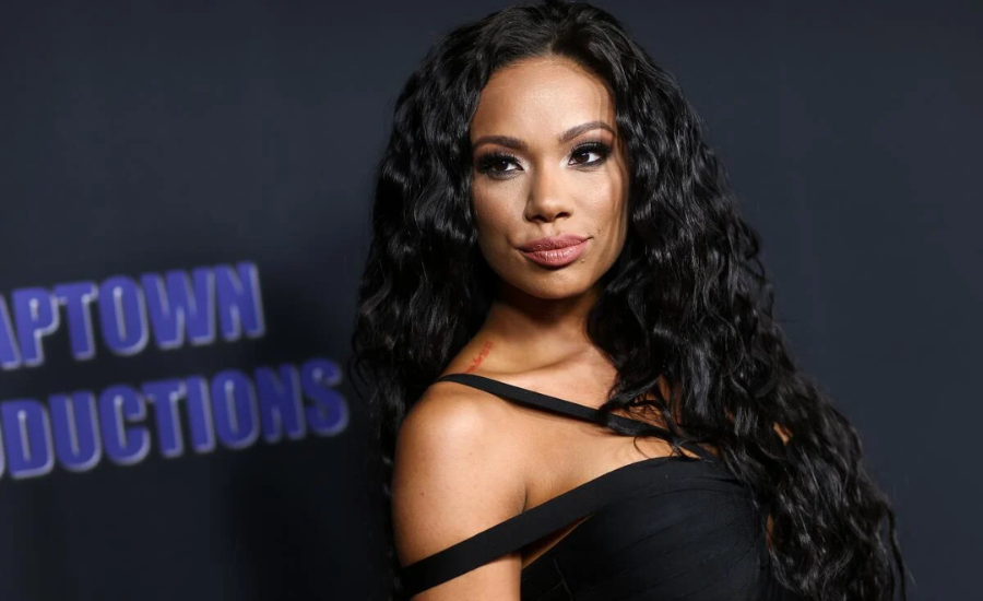 Erica Mena Reality TV shows