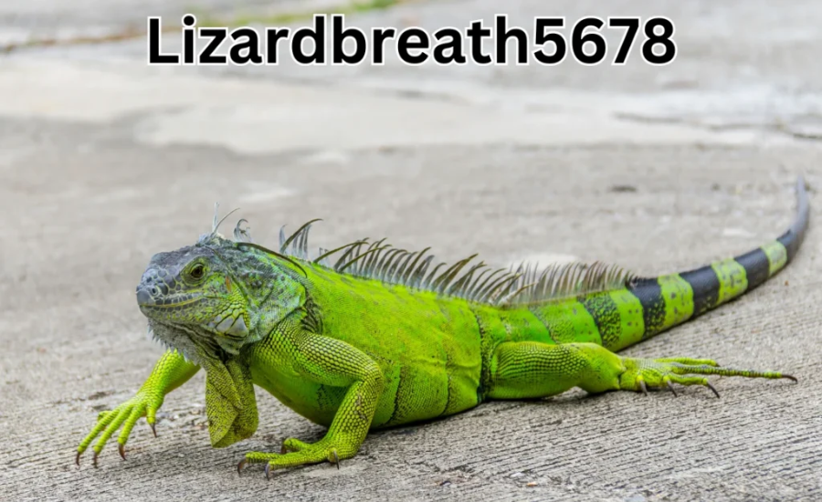 The Ascent Of Lizardbreath5678: A Unique Digital Identity